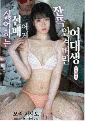 城市回声纪实剧集免费电视剧观看封面
